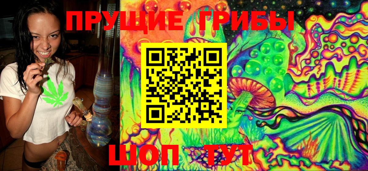 Галлюциногенные грибы Magic Shrooms Луховицы